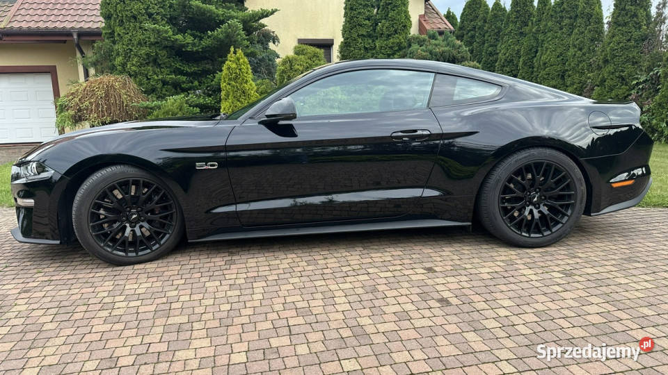 Ford Mustang Przasnysz