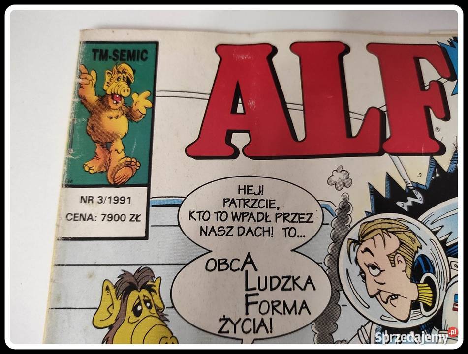 KOMIKS ALF kolekcja numer 31991 Rok wydania 1991 sprzedam