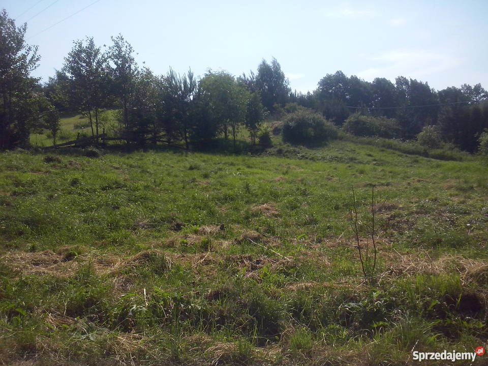 Sprzedam działkę budowlaną 13 ar Poznachowice Grunty i działki