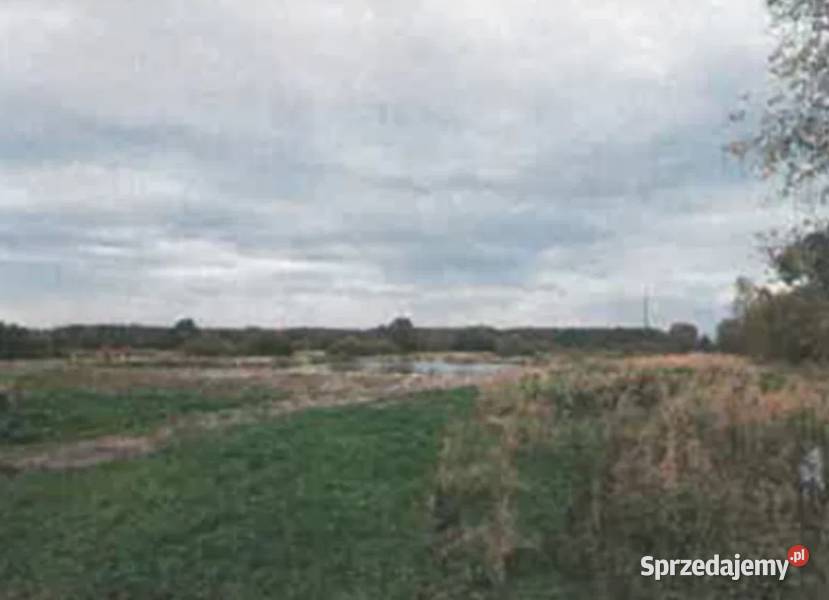 Syndyk sprzeda udział 34 nieruchomości Lisia Góra sprzedam