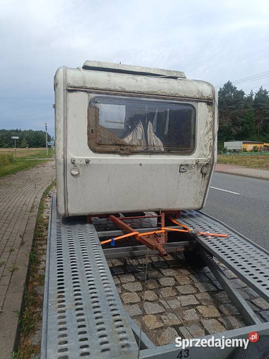 Niewiadów N126 Stryków