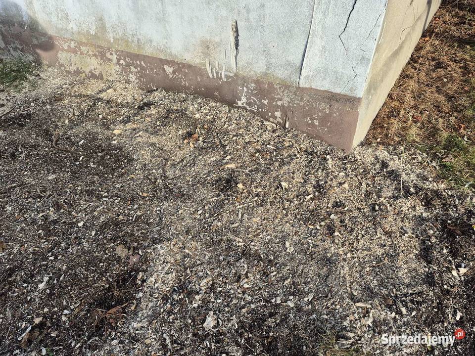 Frezowanie pni Rodaki