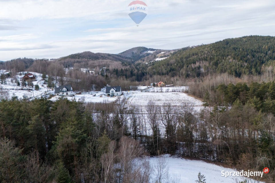 Działka budowlanorekreacyjna Kamionna 1399 ar