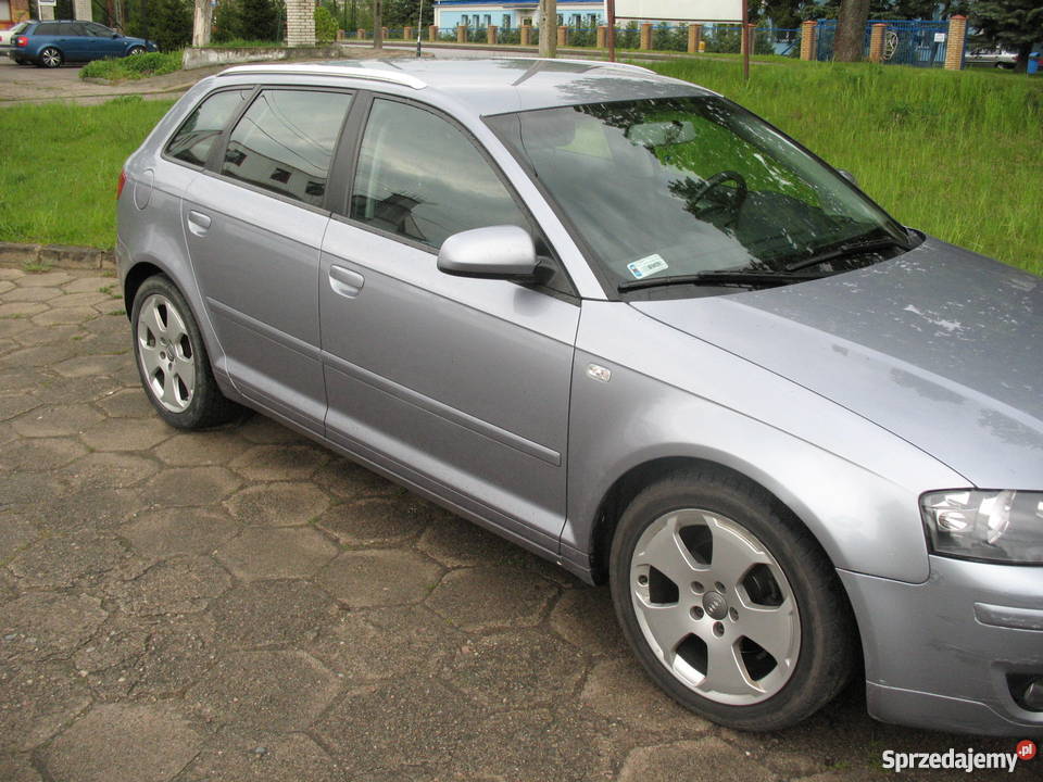 Audi A3 II 8P 19 TDI Ambiente 2006r podlaskie Wasilków