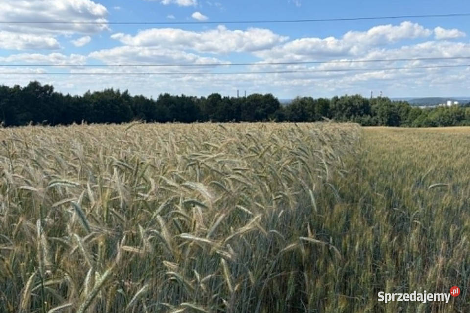 Działka rolna Radziszów gmina Skawina rolna