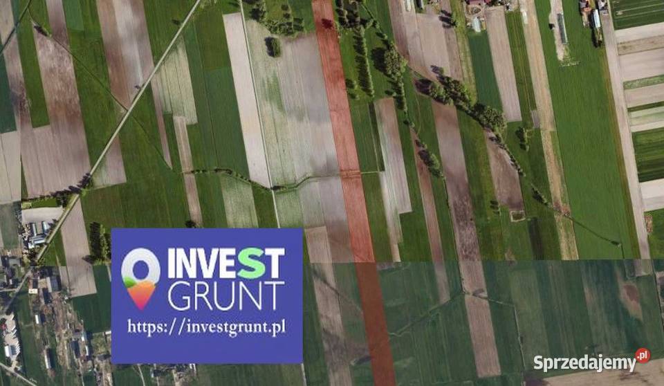 905 ha przetarg na dzierżawę gruntów rolnych Pilaszków