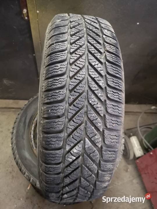 Opony Zimowe 18565 R15 88T Plus Felgi Stalowe Skomielna Biała