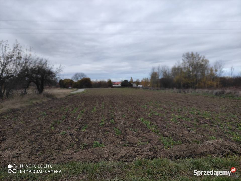 Działka rolna w Sandomierzu Grunty i działki