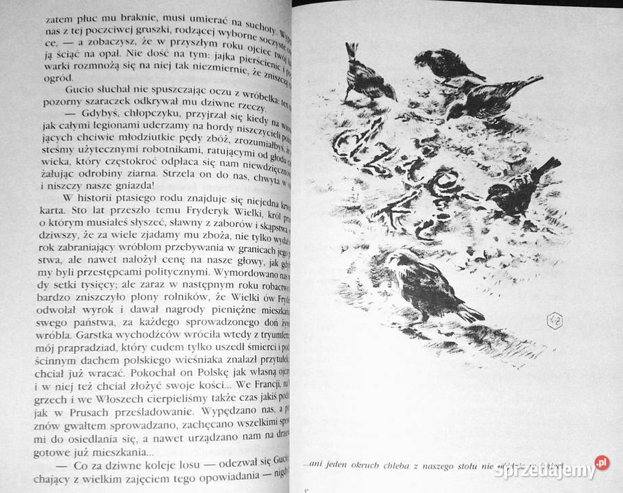 Gucio zaczarowany Zofia Urbanowska Chełm sprzedam