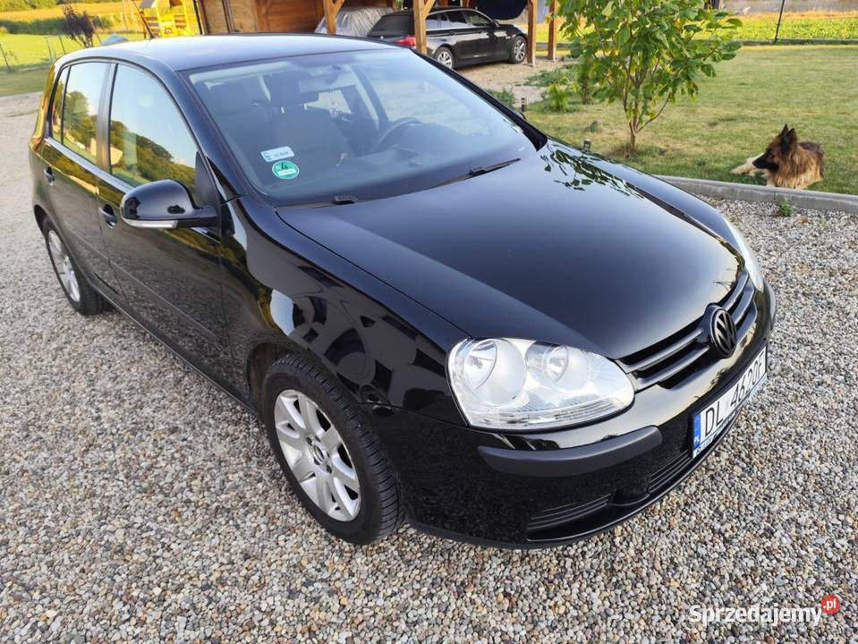 2005 Volkswagen Golf V 14 benzyna FILM 195000km Siekierowice