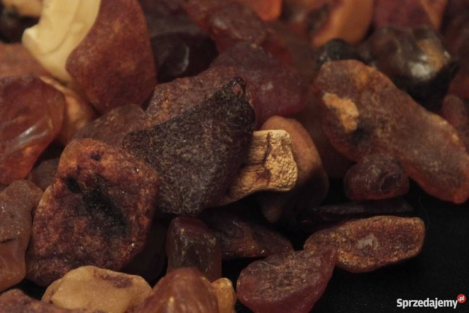 Bursztyn bałtycki Pozostałe Kąty Rybackie