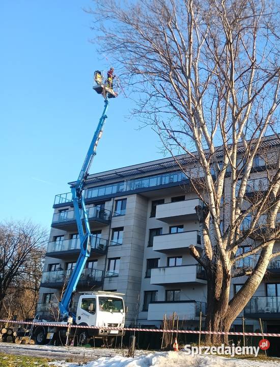 Kompleksowe ogrodnictwo pielęgnacja i wycinka małopolskie Kraków
