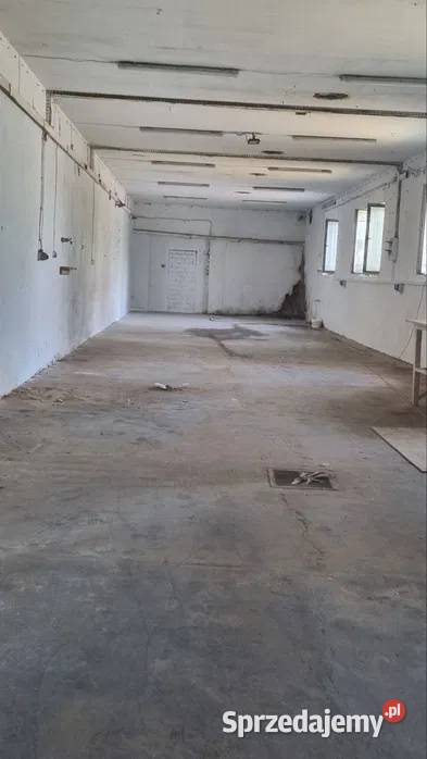 MAGAZYN PRODUKCJA Wynajem mazowieckie Radzymin