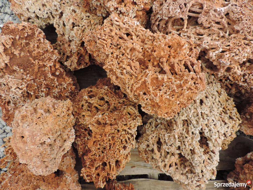 BRYŁA SPAGHETTI 200400 mm Bobrek koło Oświęcimia Pozostałe sprzedam