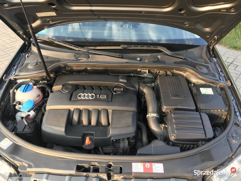 Audi A3 16 MPI 102 z Niemiec dużym serwisie 102KM