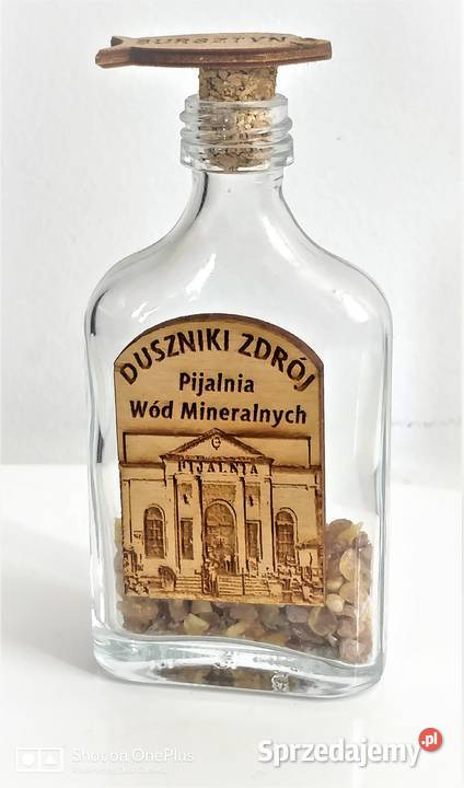 1Pamiątka Duszniki Zdrój z bursztynem Antyki, Sztuka, Kolekcje Nysa