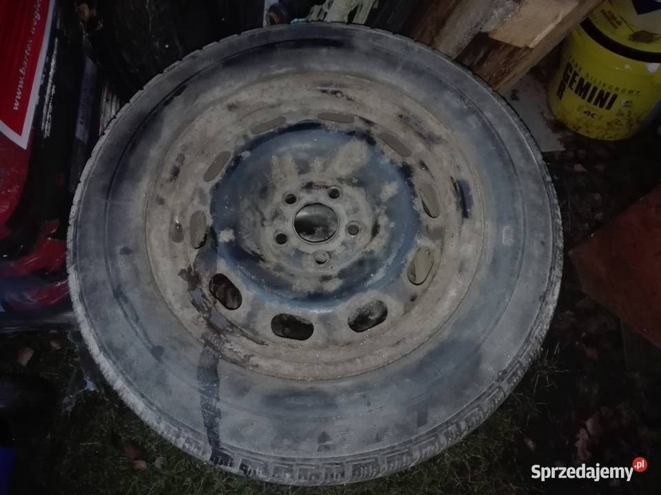 3 kola zimowe octawia golf4 195 65 R15 Węgrów