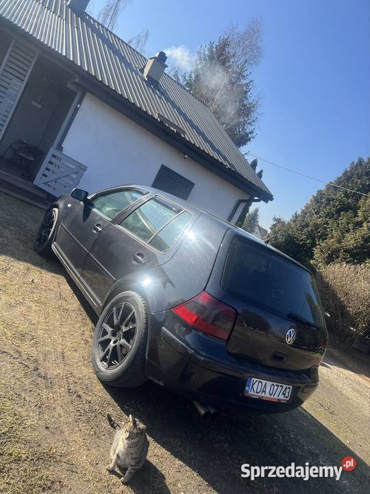 ARL golf 4 19tdi ok 240 Golf Szczucin