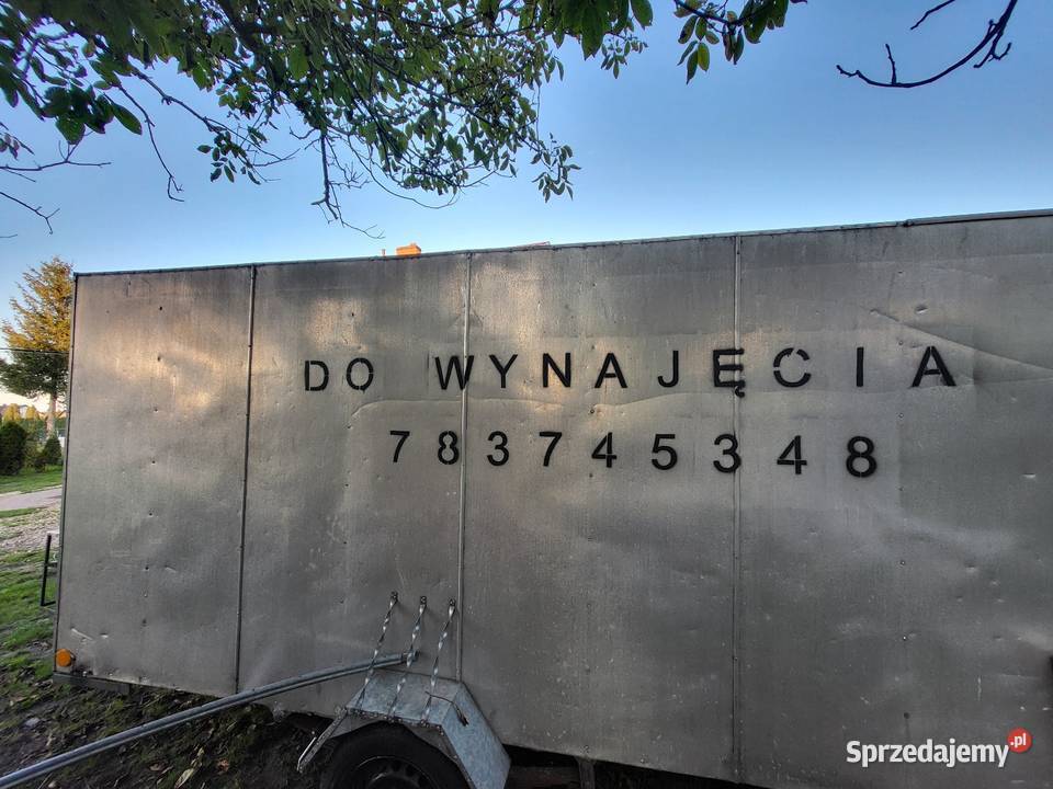 Witryna chlodnicza Piekoszów
