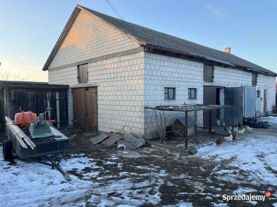 Sprzedam siedlisko dom i zabudowania gospodarcze Lipiny