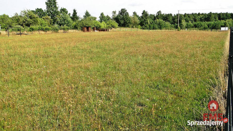 sprzedaży działki Letniki 4000m2