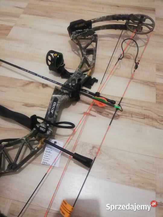 Łuk bloczkowy LEWORĘCZNY PRAWO BEAR PARADOX Nowy Sącz