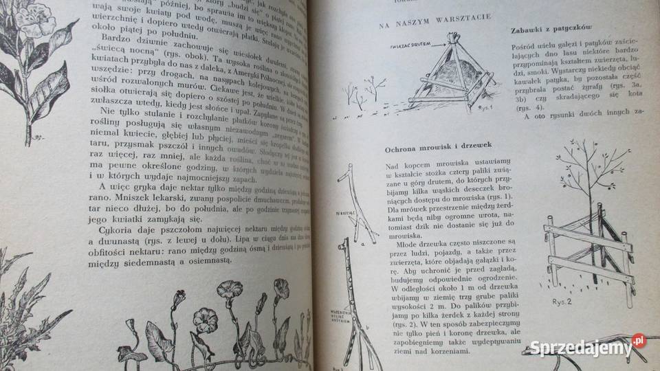 Głos przyrody Kowalewska Kownacka przyroda Łódź