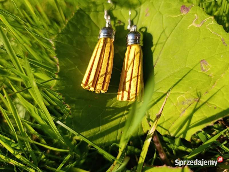 kolczyki chwost żółty wielkopolskie Poznań sprzedam