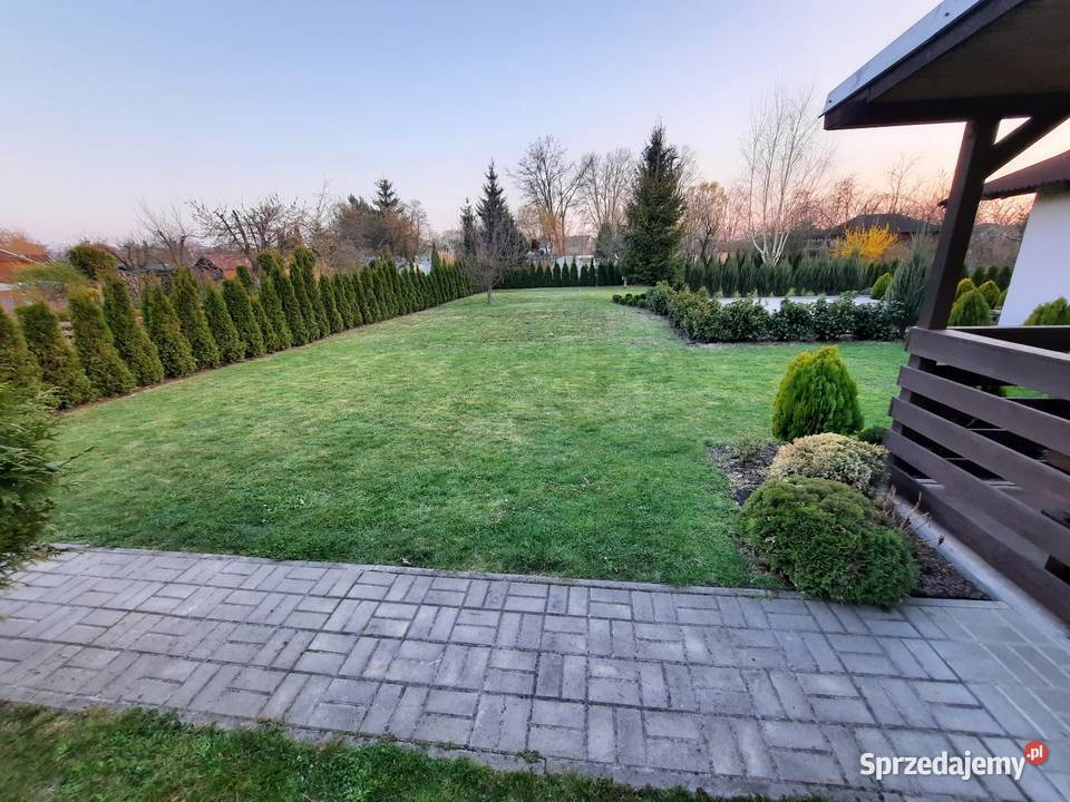 Dzialka ROD MIECZYK WROCŁAW Przestronna Stan dolnośląskie