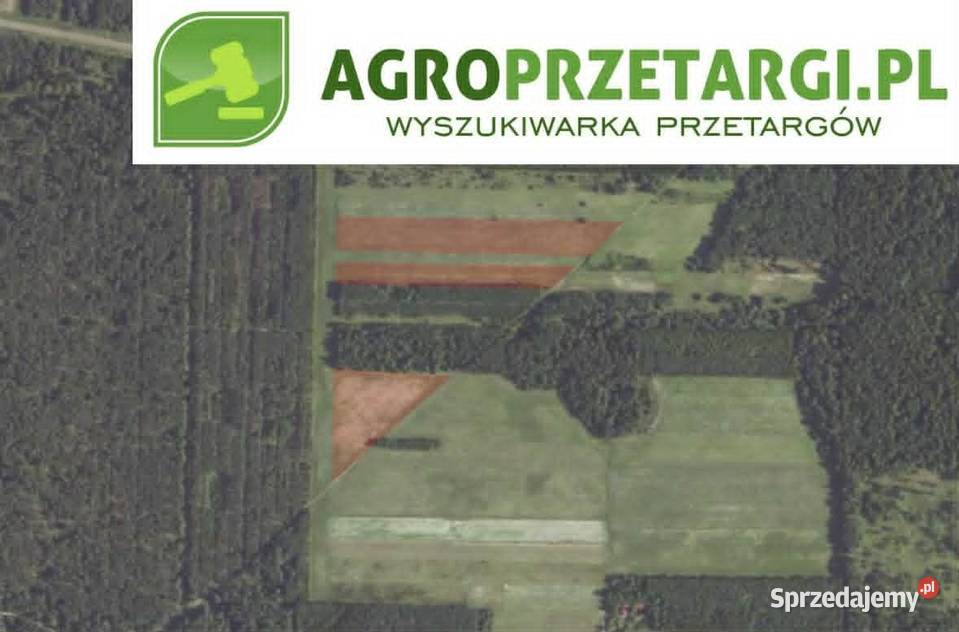 Dzierżawa 826 ha gruntu rolnego