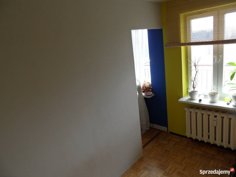 Bugaj Wajsówny BEZPOŚREDNIO