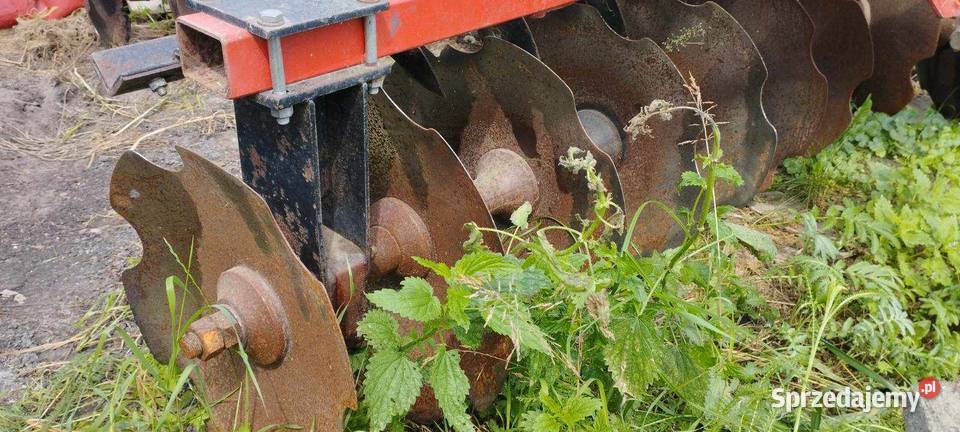 Talerzówka Strumyk 28m Łęki Szlacheckie