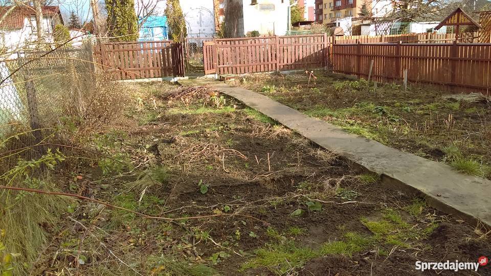 sprzedam działkę ROD w Będzinie Grodziec 13zł/m2 Będzin