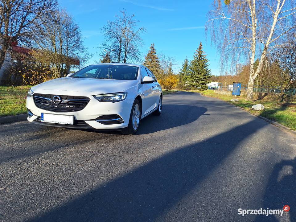 ZADBANY egzemplarz opel insignia wielkopolskie Kościan