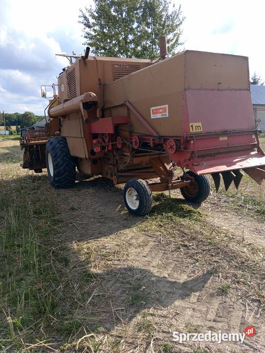 Bizon super zo56 kombajn rekord Wojsławice