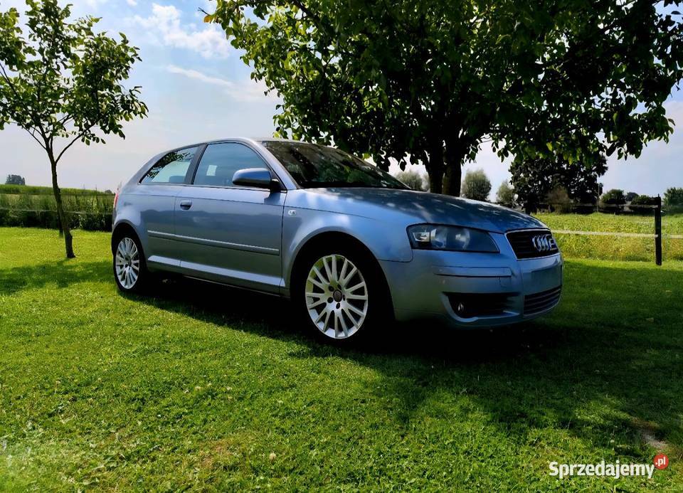 Audi A3 Typ 8P Ambition 1595cm3 Lubartów