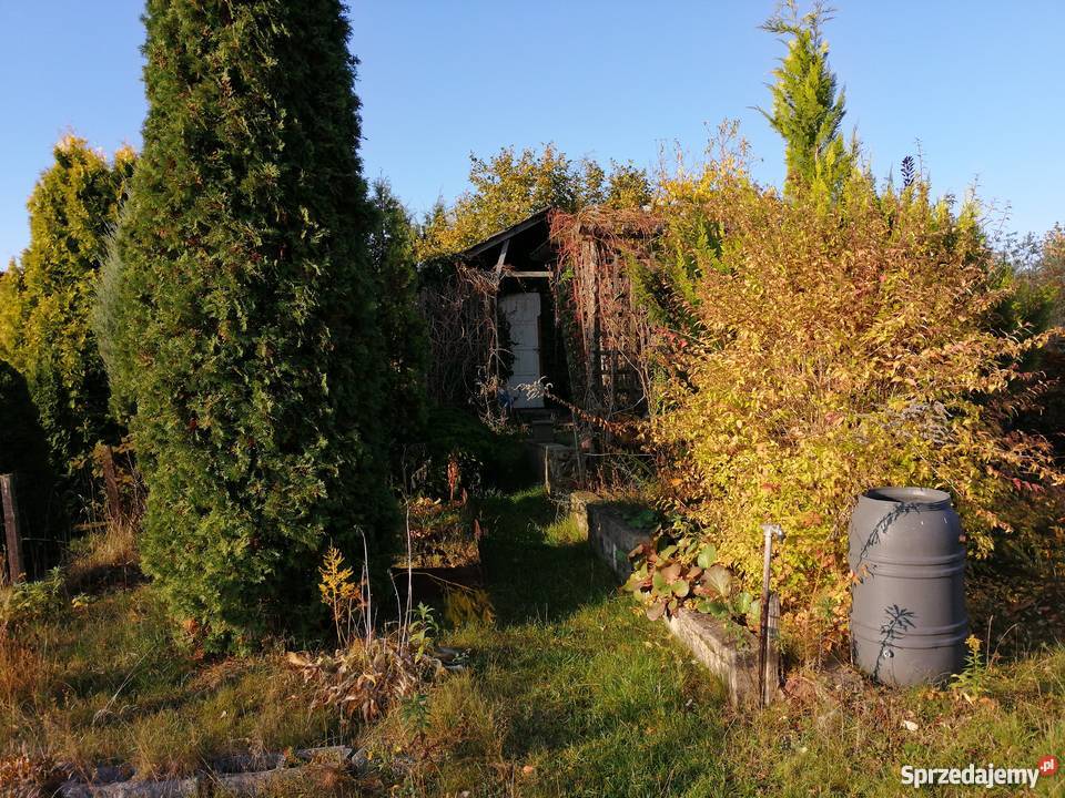 Działka rod Nieruchomości Szczytno