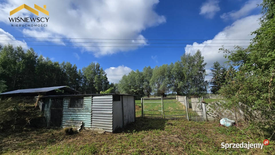 Siedlisko ze stawem w Wiśniewie Wiśniewo sprzedam