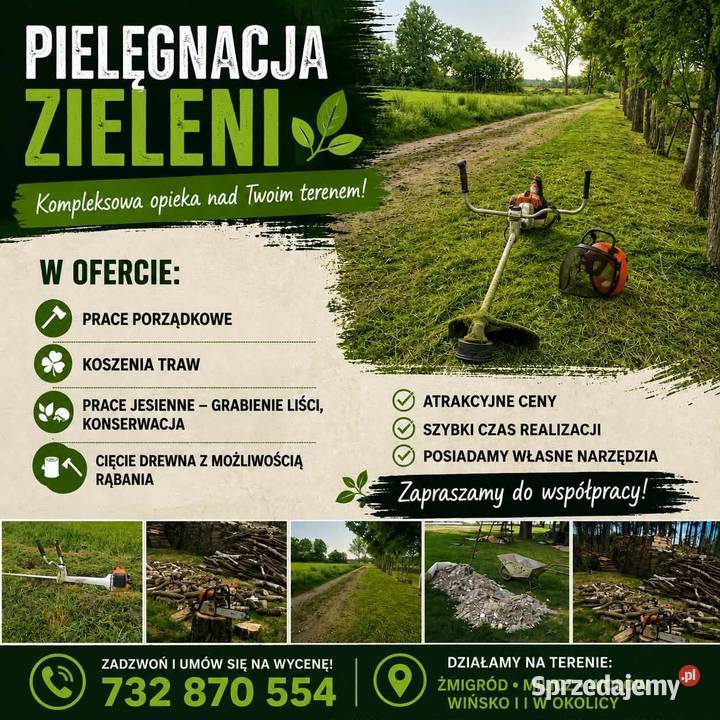 Usługi pielęgnacji zieleni koszenia traw prace Żmigród