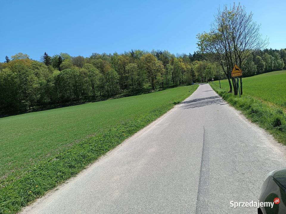 Działka w sąsiedztwie lasu warmińsko-mazurskie Lubawa