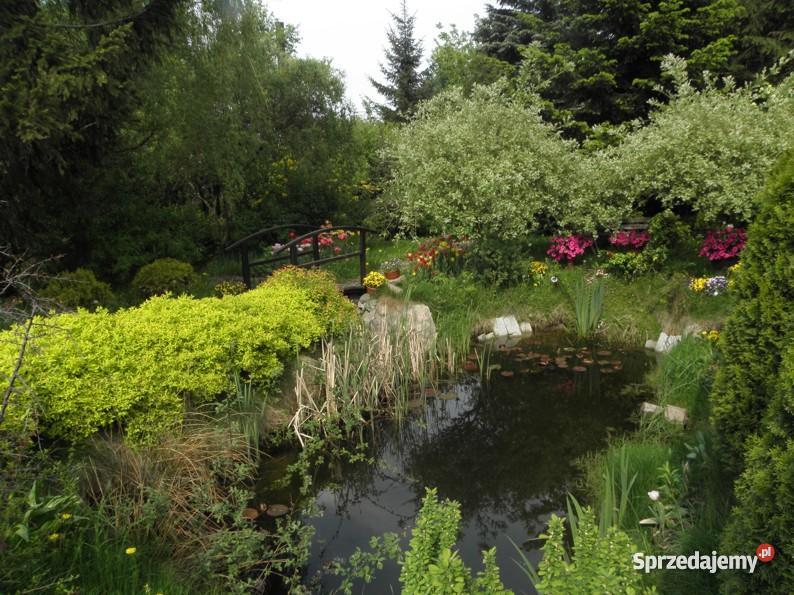 Działka budowlana 2050m2 media Janówka gm Andres Janówka