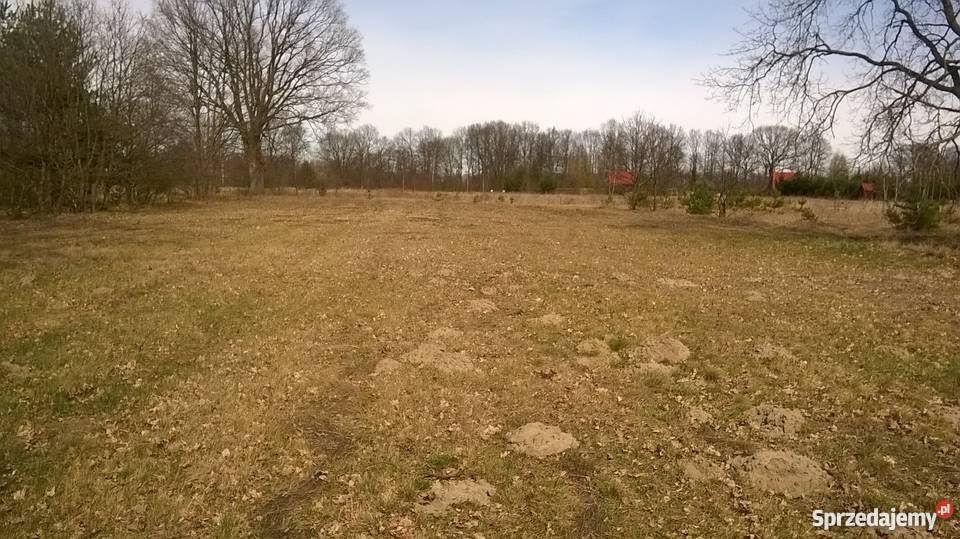 działka zalewem zegrzyńskim Arciechów 2700m2