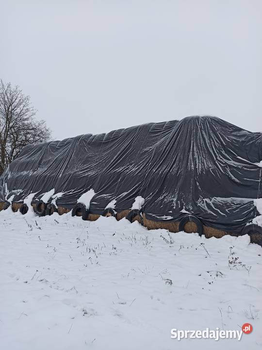 Słoma pszenżytnia mazowieckie Latowicz