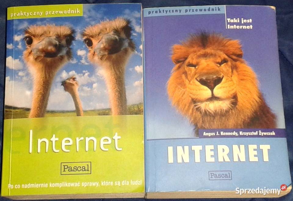 Internet prakyczny przewodnik Angus J Kennedy Chełm