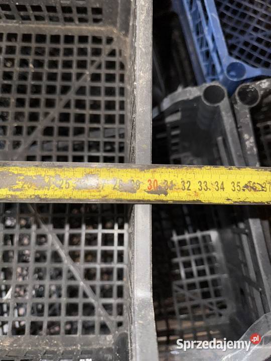 Koszyczki plastikowe Strzelin