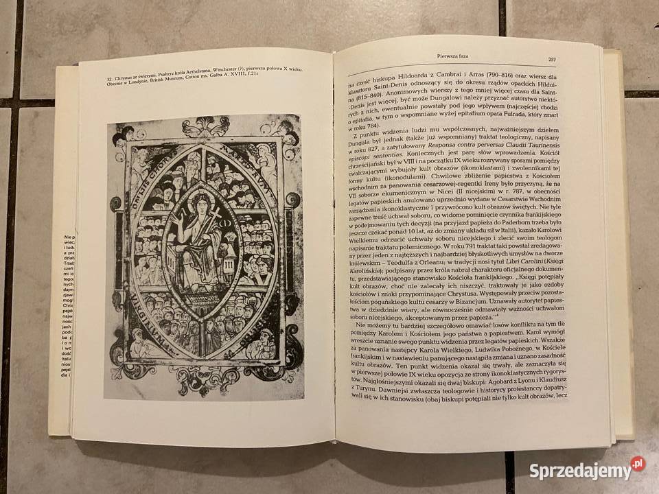 Jerzy Strzelczyk Iroszkoci w kulturze Katowice