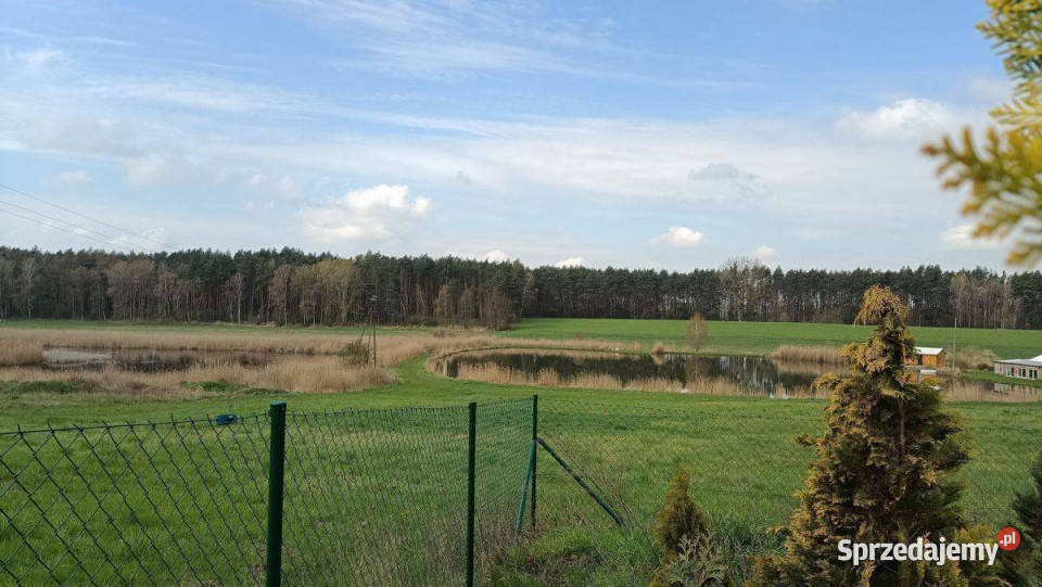 Dom z widokiem na stawy i las Zielątkowo