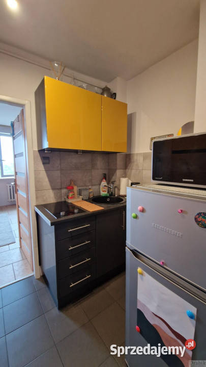 Ogłoszenie mieszkanie Kraków 231m2 1 pokój małopolskie sprzedam