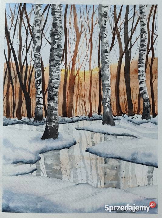 Akwarela Akwarelka Obraz pt Czar Brzóz opolskie Opole sprzedam