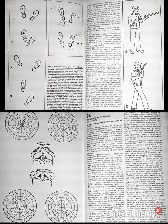 Broń śrutowa i technika strzelania Tadeusz Chełm